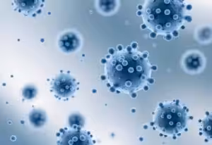 klamydia virus