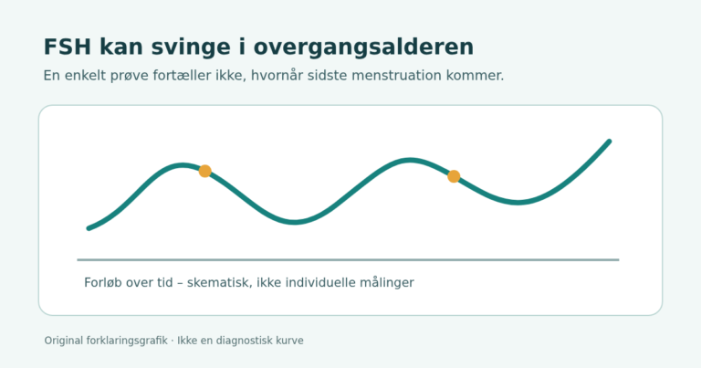 Skematisk illustration: FSH kan svinge gennem overgangsalderen, og en enkelt måling viser ikke tidspunktet for sidste menstruation