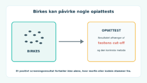 Birkes kan påvirke nogle opiattests, afhængigt af testens cut-off og metode.