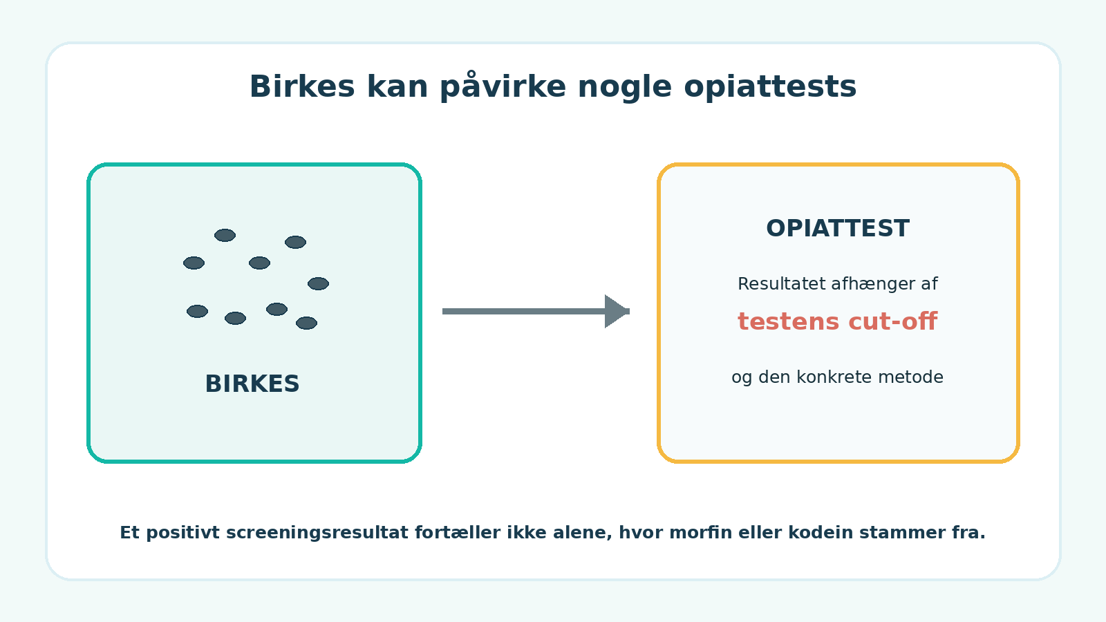 Birkes kan påvirke nogle opiattests, afhængigt af testens cut-off og metode.